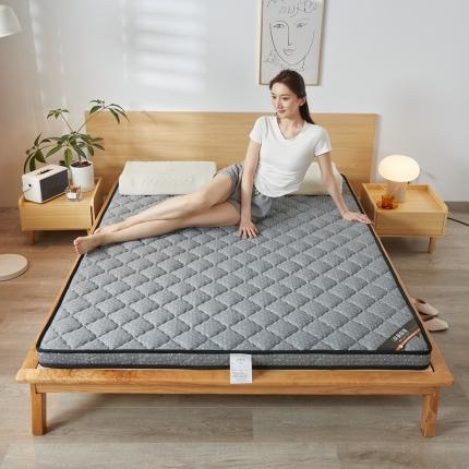 91家纺网 家纺一手货源 找家纺 时奥 2022新款椰棕护颈床垫系列(包邮) SN经典灰（乳胶+椰棕）