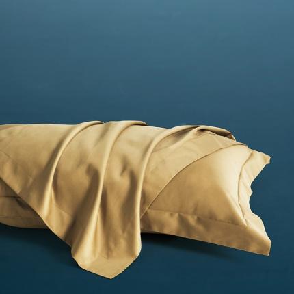 91家纺网 家纺一手货源 找家纺 小米笠 2022新款100支A类长绒棉系列枕套一对 流光金