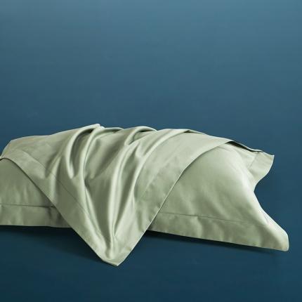 小米笠 2022新款100支A类长绒棉系列枕套一对 桉叶绿