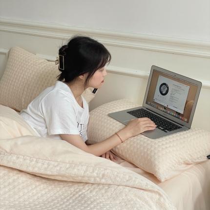 梦享生活家居 2022新款华夫格四件套 奶杏