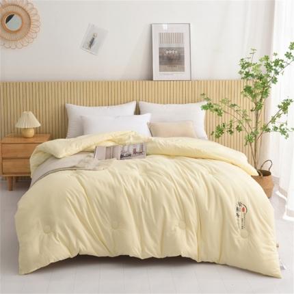 91家纺网 家纺一手货源 找家纺 盈超 2023新款原棉水洗棉大豆被被子被芯-米白色