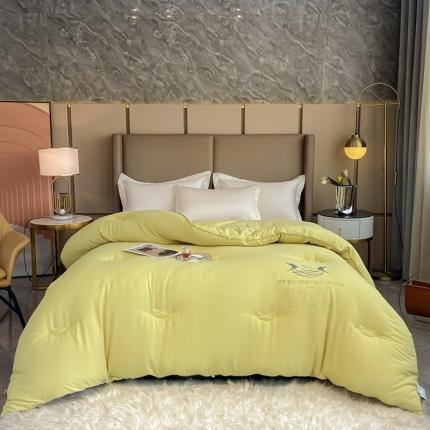 91家纺网 家纺一手货源 找家纺 米洛贝伊 2022新款燕窝蛋白暖肤被 果绿