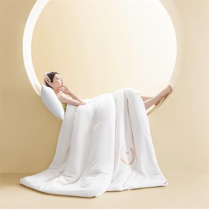 91家纺网 家纺一手货源 找家纺 （总）换种生活 舒适柔软春秋被子 被芯 蓬蓬大豆冬被蜻蜓