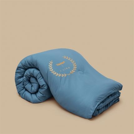 91家纺网 家纺一手货源 找家纺 （总）换种生活 舒适柔软春秋被子 被芯 蓬蓬大豆冬被蜻蜓