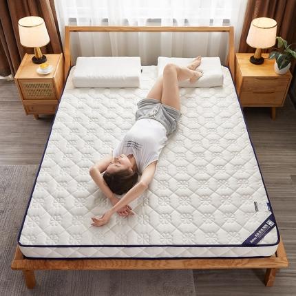 (总)欣罗兰2023新立体针织三明治双面床垫系列-成人款