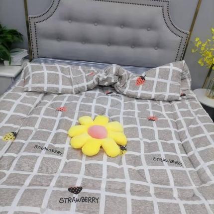 91家纺网 家纺一手货源 找家纺 （总）被多多 2024新款磨毛印花冬被