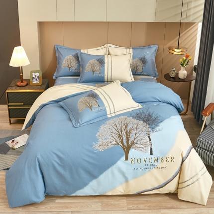 雲归梦 2022年新款全棉AB版加厚磨毛大版四件套 沐辰-兰