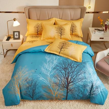 雲归梦 2022年新款全棉AB版加厚磨毛大版四件套 水木年华-兰