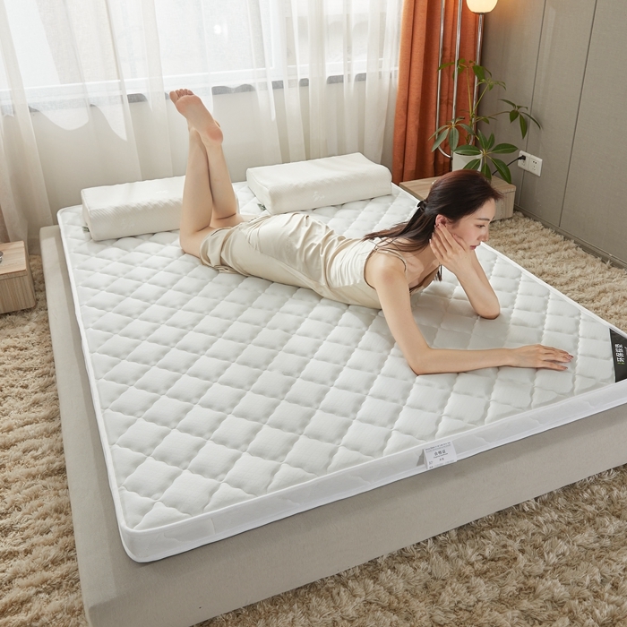 91家纺网 家纺一手货源 找家纺 时奥 2022新款椰棕护颈床垫系列(包邮) SN格调白（乳胶+椰棕）