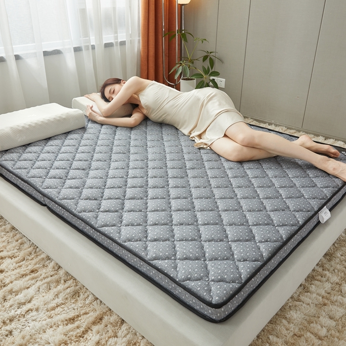 91家纺网 家纺一手货源 找家纺 时奥 2022新款椰棕护颈床垫系列(包邮) SN经典灰（乳胶+椰棕）