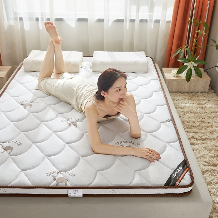 91家纺网 家纺一手货源 找家纺 时奥 2022新款椰棕护颈床垫系列(包邮) SN驼绒白（乳胶+椰棕）