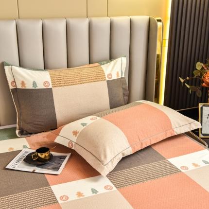 名优家纺 2023新款全棉生态活性磨毛单品枕套 简派