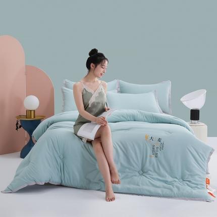 91家纺网 家纺一手货源 找家纺 （总）元元被芯 2023新款大麦蛋白纤维被加厚春秋冬被