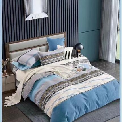 润淳 2025新款加厚活性磨毛四件套纯棉三件套 奥斯丁 兰