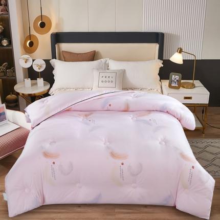 好欣怡 2023新国潮大豆蛋白冬被被子被芯 羽毛