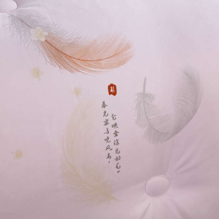 91家纺网 家纺一手货源 找家纺 好欣怡 2023新国潮大豆蛋白冬被被子被芯 羽毛