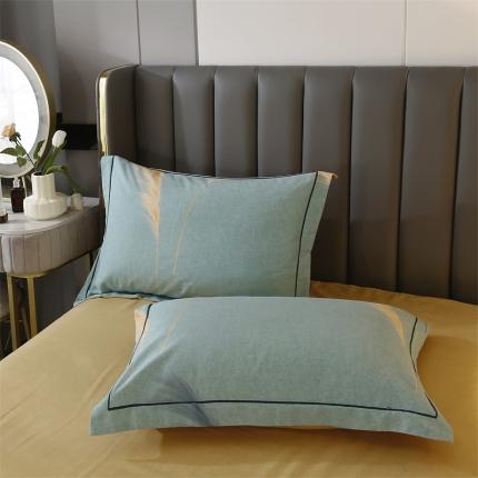 91家纺网 家纺一手货源 找家纺 （总）棉生活 2022年铂金全棉磨毛系列单品枕套一对