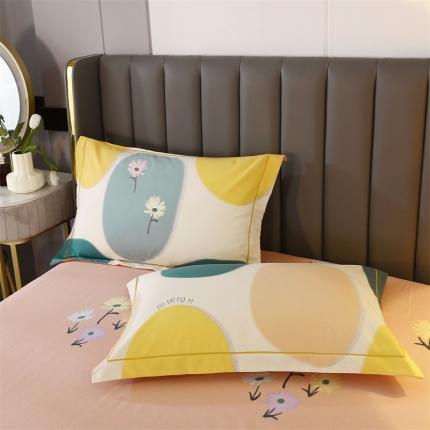 91家纺网 家纺一手货源 找家纺 （总）棉生活 2022年铂金全棉磨毛系列单品枕套一对