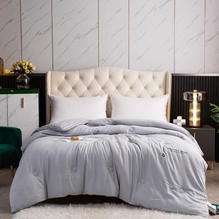 （总）青螺家纺 功能纤维被芯专家--2022石墨烯抗菌发热被