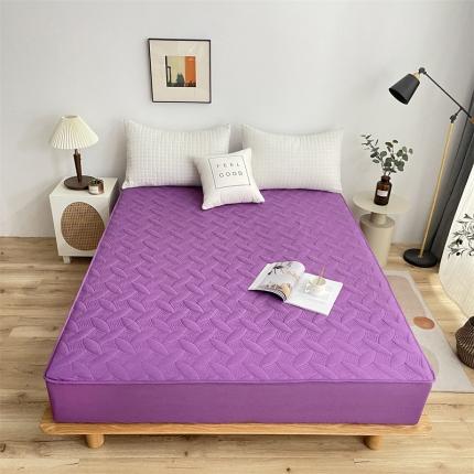 金龙2022新款13372纯棉纯色夹棉床笠床垫保护套 深紫色