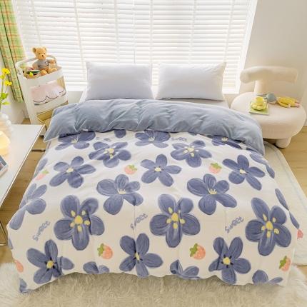 91家纺网 家纺一手货源 找家纺 (总) 卡普家居2025新款加厚保暖牛奶绒系列--单品被套