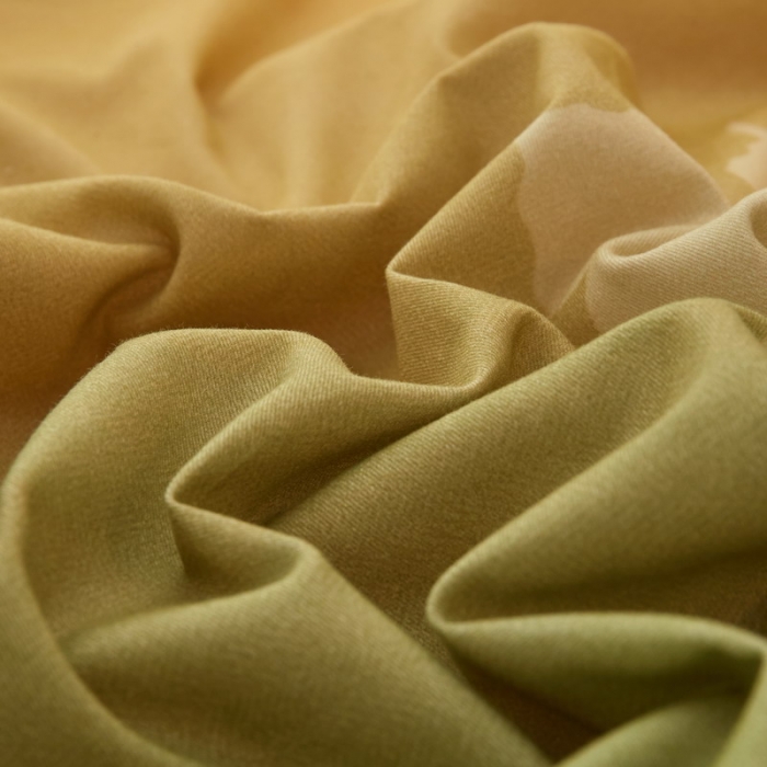 91家纺网 家纺一手货源 找家纺 金纱玉纺2022新款全棉生态大版磨毛四件套翩翩起舞-绿