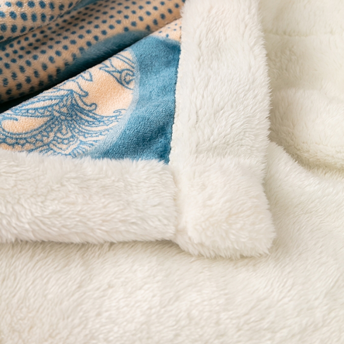 91家纺网 家纺一手货源 找家纺 来菲毛毯2025新款北极绒复合毯加收双层羊羔绒印花毯子布鲁斯