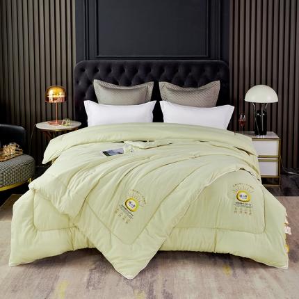 91家纺网 家纺一手货源 找家纺 丽卡家纺  2023新款绵小芙蚕绒棉暖绒子母被 清新绿