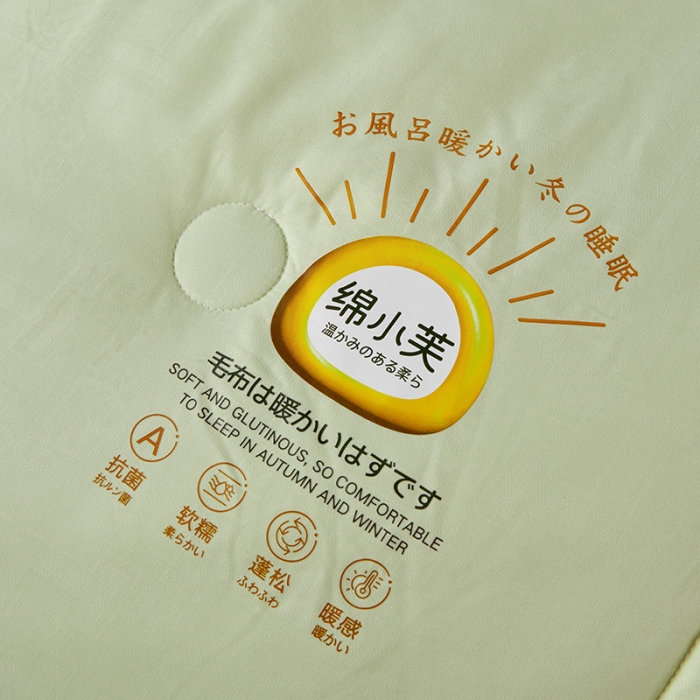 91家纺网 家纺一手货源 找家纺 （总）丽卡家纺  2023新款绵小芙蚕绒棉暖绒子母被