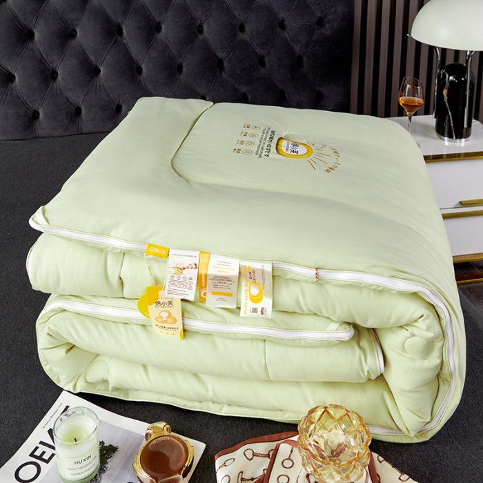 91家纺网 家纺一手货源 找家纺 （总）丽卡家纺  2023新款绵小芙蚕绒棉暖绒子母被