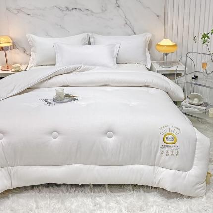 91家纺网 家纺一手货源 找家纺 （总）丽卡家纺 2023新款绵小芙蚕绒棉暖绒被