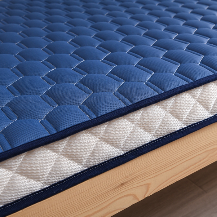 91家纺网 家纺一手货源 找家纺 亿丁点 2023新款四季通用针织乳胶记忆海绵床垫-小床 乳胶蓝