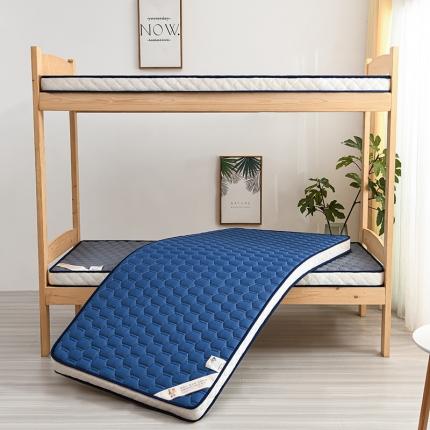 亿丁点 2023新款四季通用针织乳胶记忆海绵床垫-小床 乳胶蓝