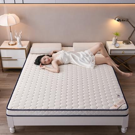 91家纺网 家纺一手货源 找家纺 亿丁点 2023新款四季通用针织乳胶记忆海绵床垫-大床 乳胶白