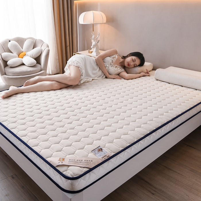 91家纺网 家纺一手货源 找家纺 （总）亿丁点 2023新款四季通用针织乳胶记忆海绵床垫-大床