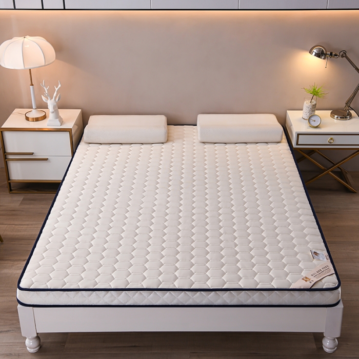 91家纺网 家纺一手货源 找家纺 （总）亿丁点 2023新款四季通用针织乳胶记忆海绵床垫-大床