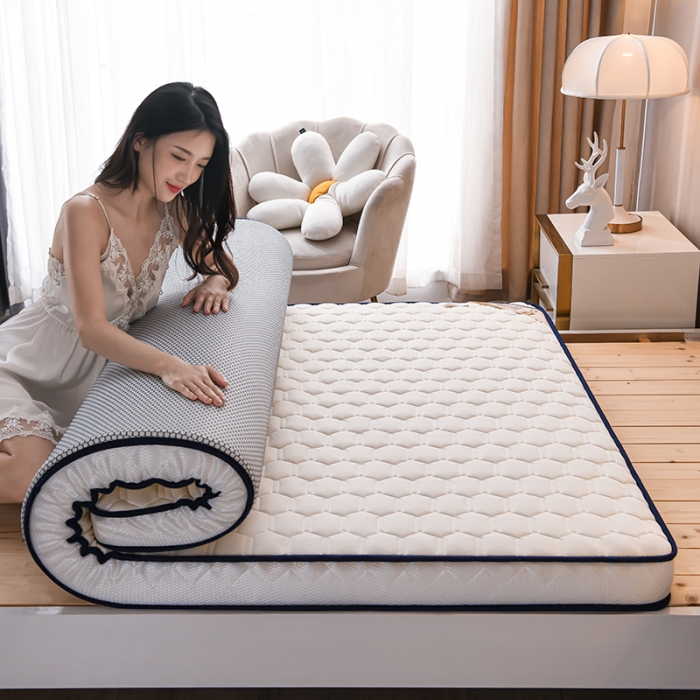 91家纺网 家纺一手货源 找家纺 （总）亿丁点 2023新款四季通用针织乳胶记忆海绵床垫-大床