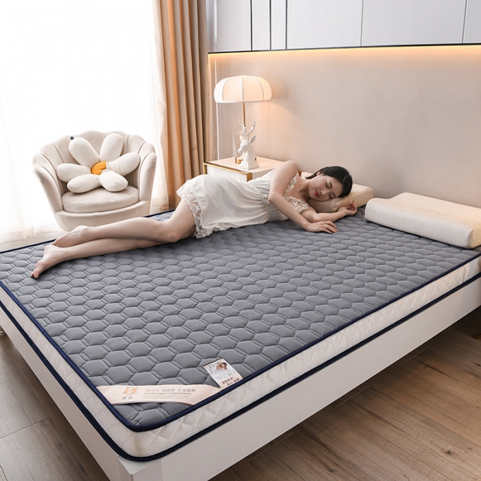 91家纺网 家纺一手货源 找家纺 亿丁点 2023新款四季通用针织乳胶记忆海绵床垫-大床 乳胶灰