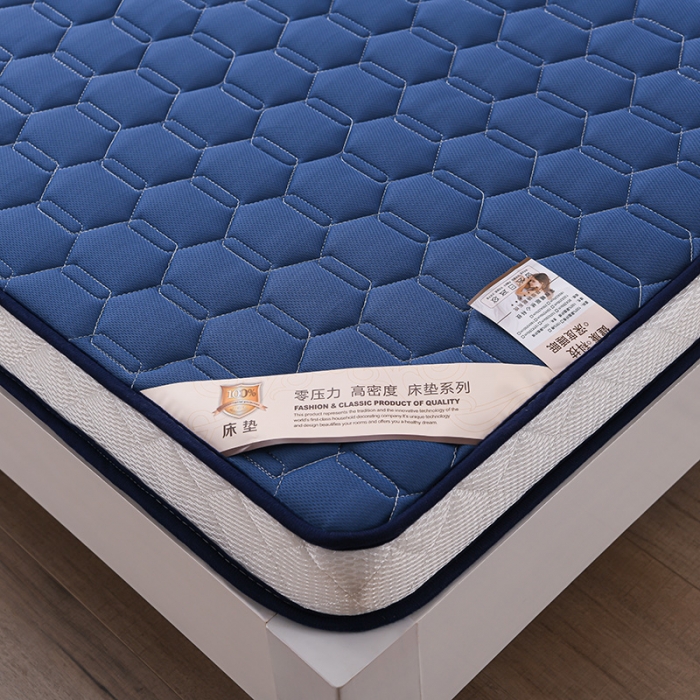 91家纺网 家纺一手货源 找家纺 亿丁点 2023新款四季通用针织乳胶记忆海绵床垫-大床 乳胶蓝