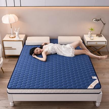 亿丁点 2023新款四季通用针织乳胶记忆海绵床垫-大床 乳胶蓝