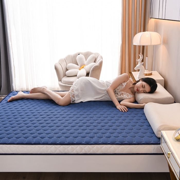 91家纺网 家纺一手货源 找家纺 亿丁点 2023新款四季通用针织乳胶记忆海绵床垫-大床 乳胶蓝