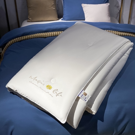 91家纺网 家纺一手货源 找家纺 （总）子由 2022新款水洗棉亲肤绣花大豆纤维被【包质检】