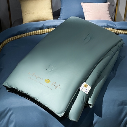 91家纺网 家纺一手货源 找家纺 （总）子由 2022新款水洗棉亲肤绣花大豆纤维被【包质检】