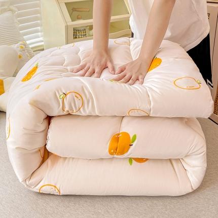 2022新款直播爆款水洗棉印花小花边春秋被冬被 爆爆橙