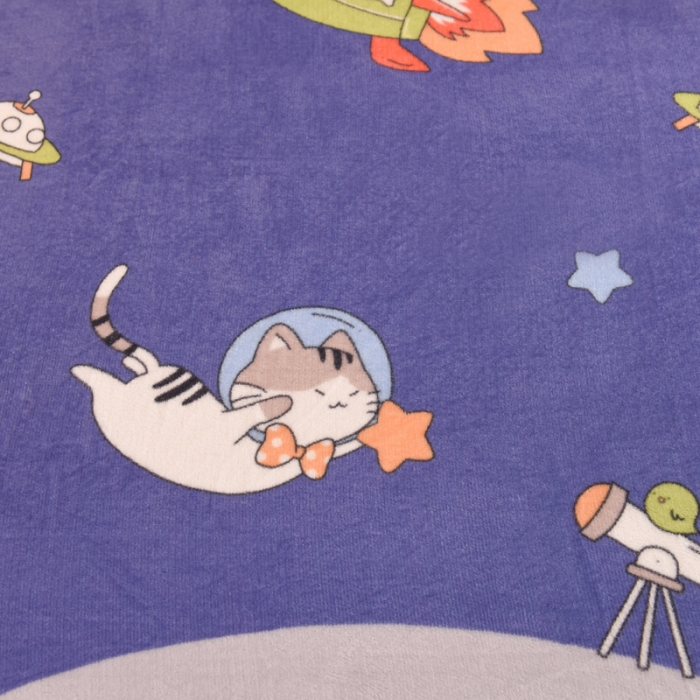 91家纺网 家纺一手货源 找家纺 甜之梦家纺  2025新款印花牛奶绒单品床单可定制任何尺寸  猫星球