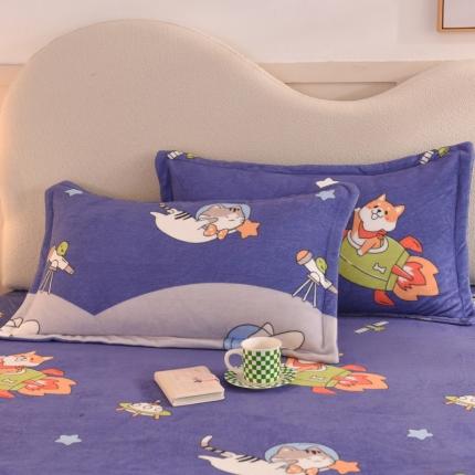 91家纺网 家纺一手货源 找家纺 甜之梦家纺 2025新款印花牛奶绒单品枕套 猫星球