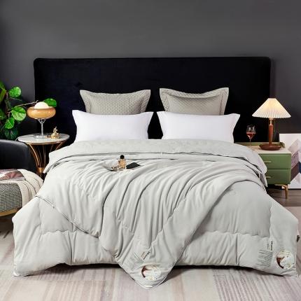 91家纺网 家纺一手货源 找家纺 丽卡家纺 2023新款蚕蛹蛋白大豆子母被 灰色