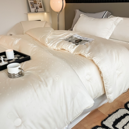 91家纺网 家纺一手货源 找家纺 李官奇A类70%大豆纤维被加厚保暖大提花被子冬被春秋被芯 70大豆被1