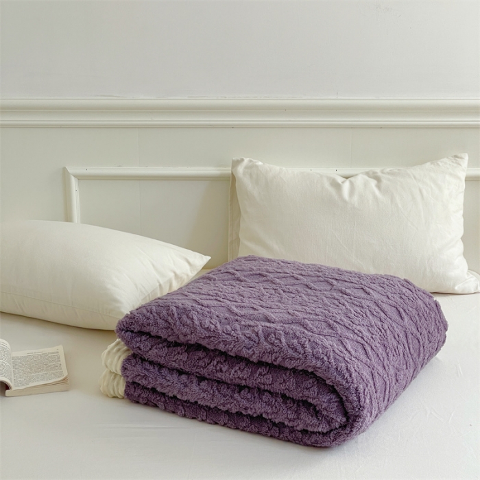 91家纺网 家纺一手货源 找家纺 梦享生活 2022新款豆豆绒毛毯 优雅紫