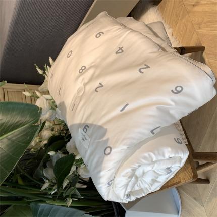 91家纺网 家纺一手货源 找家纺 汇庭 2022新品天丝棉四季被 小幸运